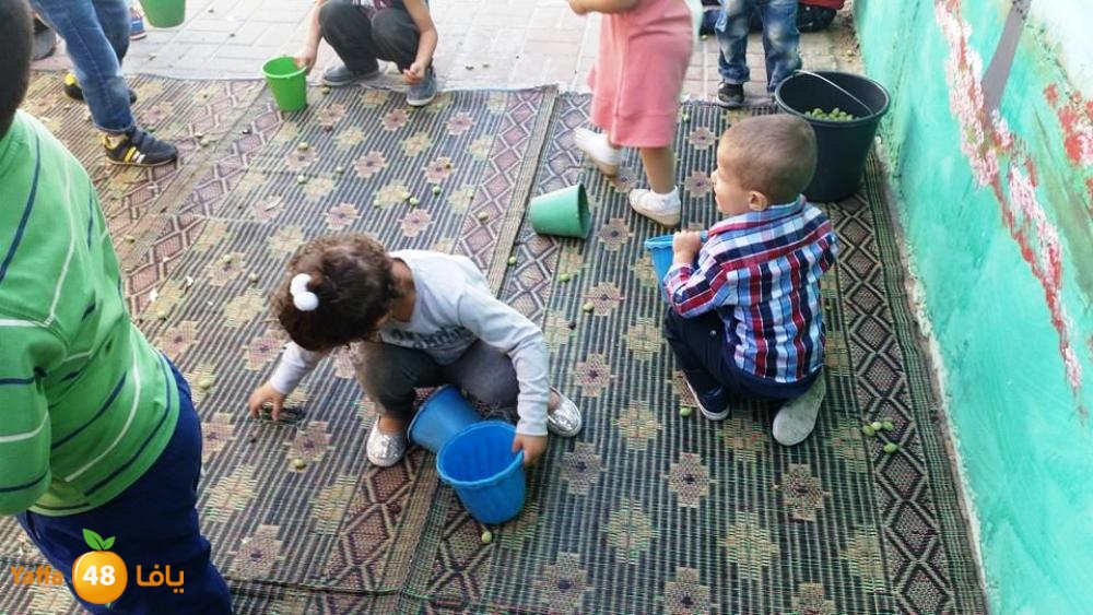 alkeram zatoon3 (2).jpg